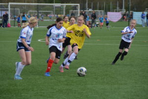 Elke school in de prijzen